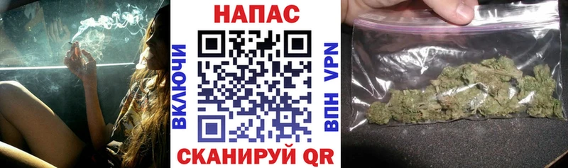 Шишки марихуана семена ссылка на мегу tor Тарко-Сале